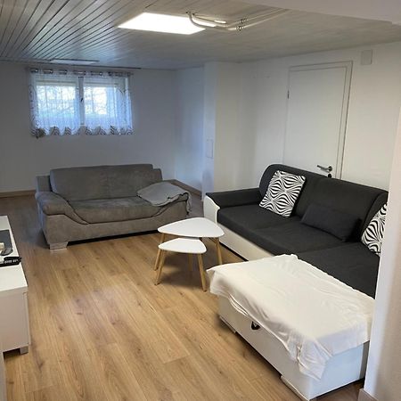 Chaleureux Appartement - Estrade Bollwiller Zewnętrze zdjęcie